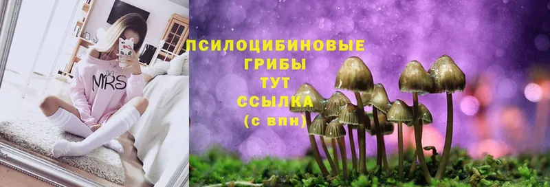 Галлюциногенные грибы MAGIC MUSHROOMS  где продают   Алупка 